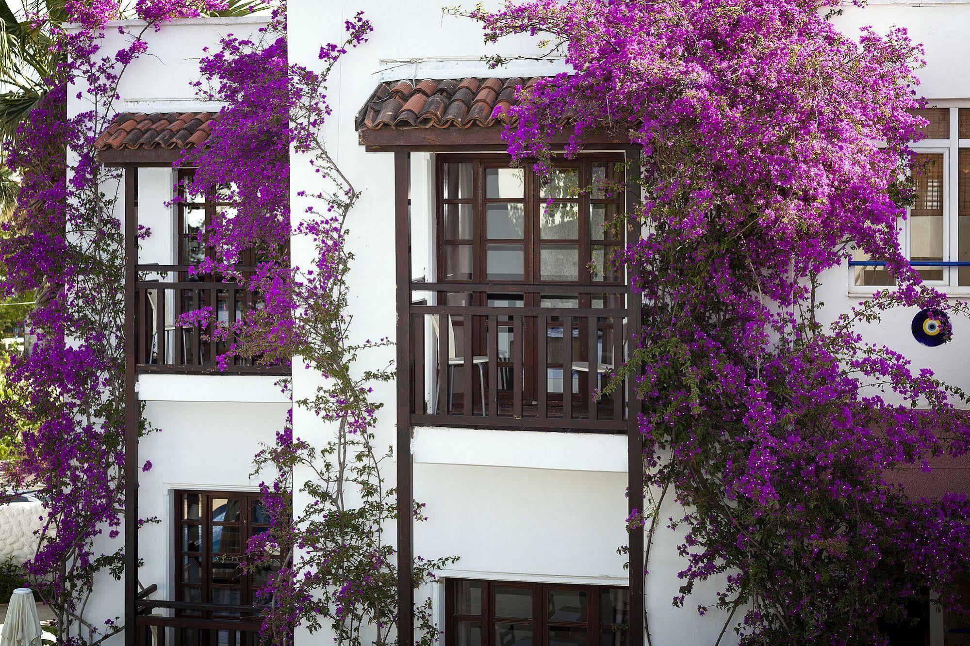 Orion Hotel Bitez Buitenkant foto